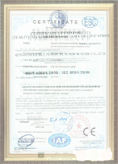 板桥镇荣誉证书